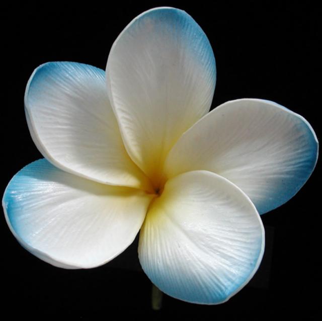 Real Touch Blue Hawaii Plumeria - Plumeria Bouquets