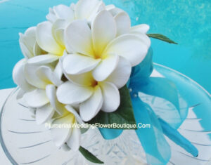 Real Touch White Plumeria Bridal Package