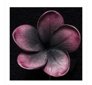 Deep Brown Plumeria