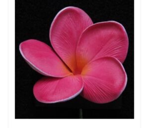 Real Touch Fucshia  Plumeria