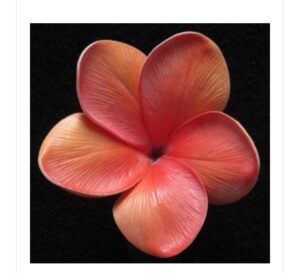 Real Touch Tangerine  Plumeria