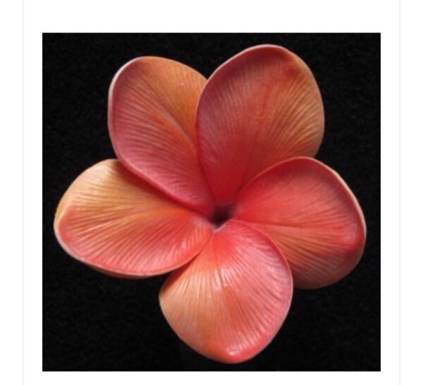 Real Touch Tangerine  Plumeria