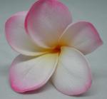Real Touch Soft Pink Plumeria