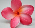 Real Touch Soft Red Plumeria