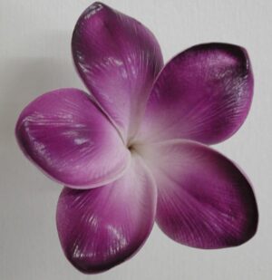 Real Touch Eggplant Plumeria