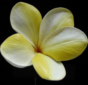 Real Touch Lemon Swirl Plumeria