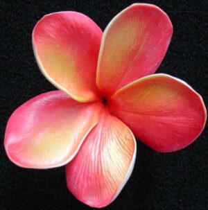 Real Touch Orange Raspberry Plumeria