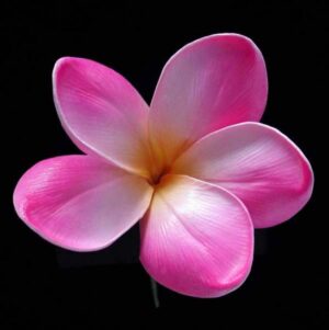 Real Touch Purple Plumeria