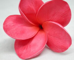 Real Touch Raspberry Plumeria
