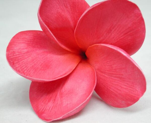Real Touch Raspberry Plumeria