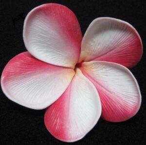 Real Touch Raspberry Swirl Plumeria