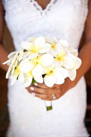Real Touch Plumeria Bridal Packages
