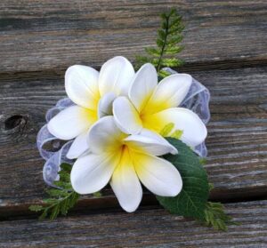 Wrist Corsage