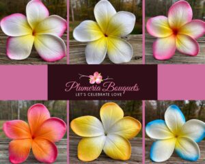 Real Touch Plumeria Flowers Box
