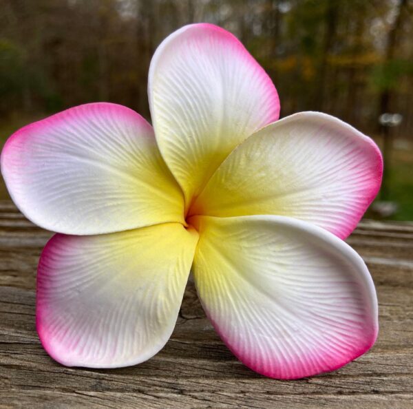 Real Touch Plumeria Flowers Box - Image 5