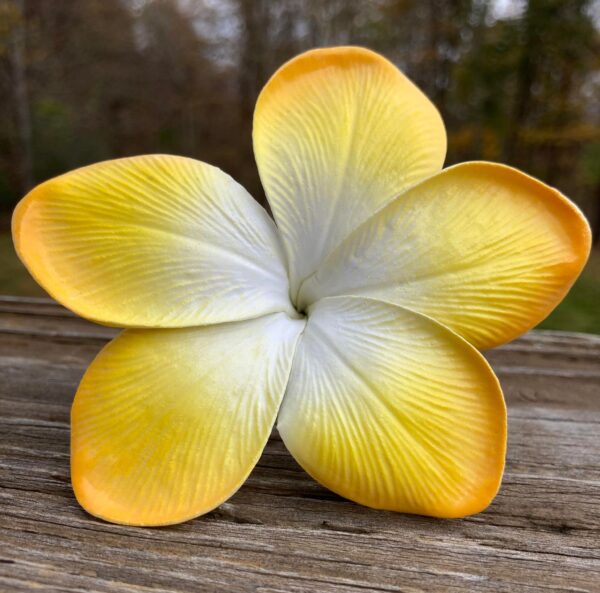 Real Touch Plumeria Flowers Box - Image 2